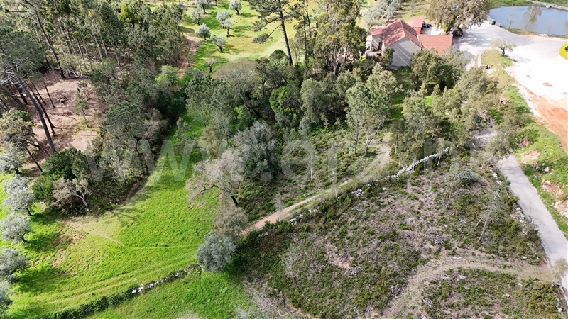 Terreno para Construção  Ansião, Santiago da Guarda - 1391872 - 11
