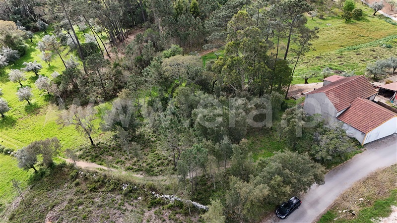 Terreno para Construção  Ansião, Santiago da Guarda - 1391872 - 13