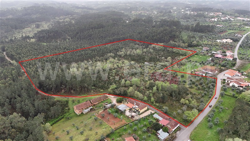 Terreno para Construção / Ansião, ANSIÃO