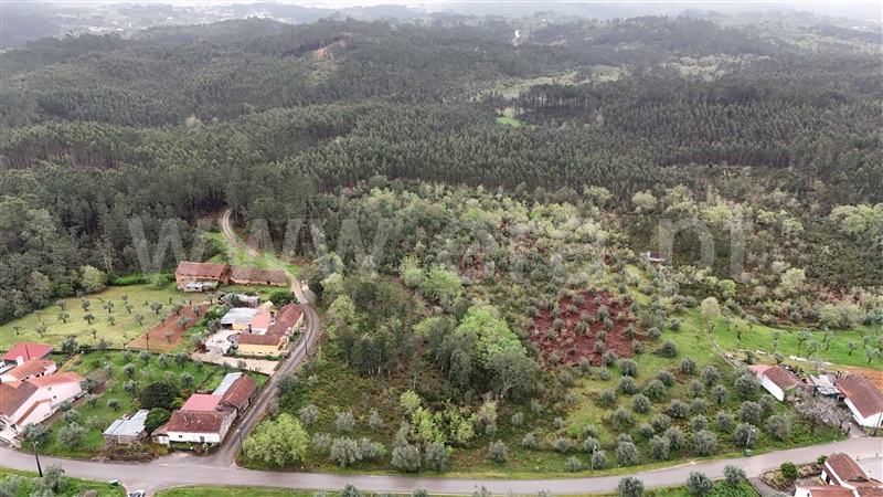 Terreno para Construção  Ansião, Santiago da Guarda - 1396806 - 3