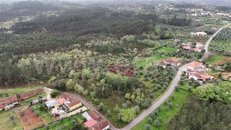 Terreno para Construção  Ansião, Santiago da Guarda - 1396806 - 5