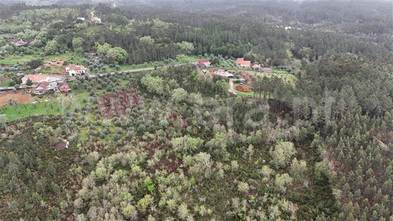 Terreno para Construção  Ansião, Santiago da Guarda - 1396806 - 6
