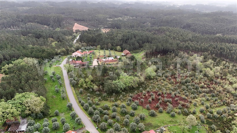Terreno para Construção  Ansião, Santiago da Guarda - 1396806 - 7