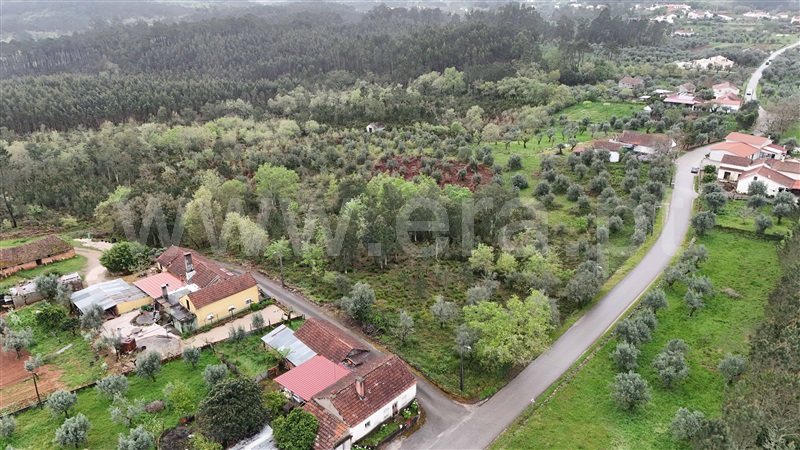 Terreno para Construção  Ansião, Santiago da Guarda - 1396806 - 8