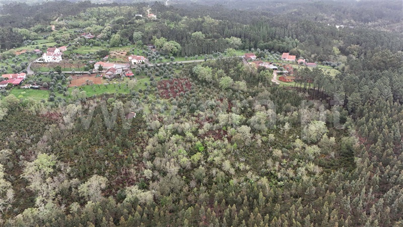 Terreno para Construção  Ansião, Santiago da Guarda - 1396806 - 9