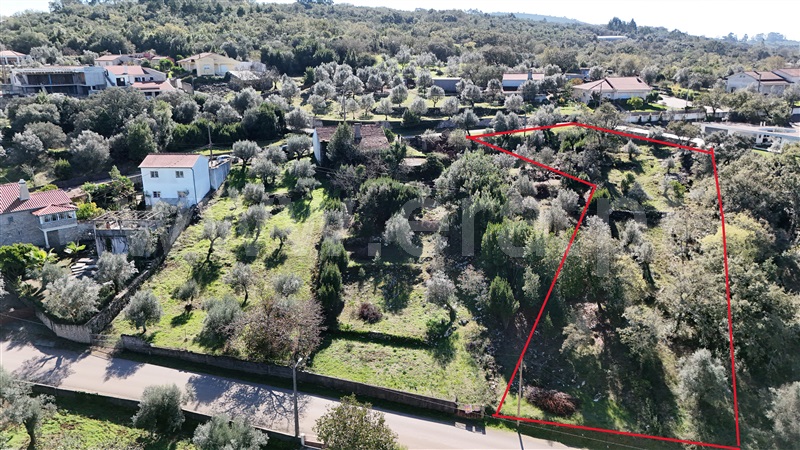 Terreno para Construção / Ansião, Ansião
