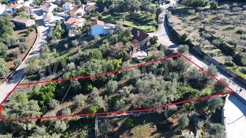 Terreno para Construção / Ansião, Ansião