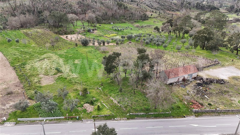 Terreno para Construção  Ansião, Pousaflores - 1395169 - 5