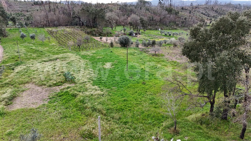 Terreno para Construção  Ansião, Pousaflores - 1395169 - 15