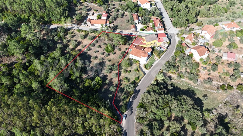 Terreno para Construção / Ansião, Santiago da Guarda