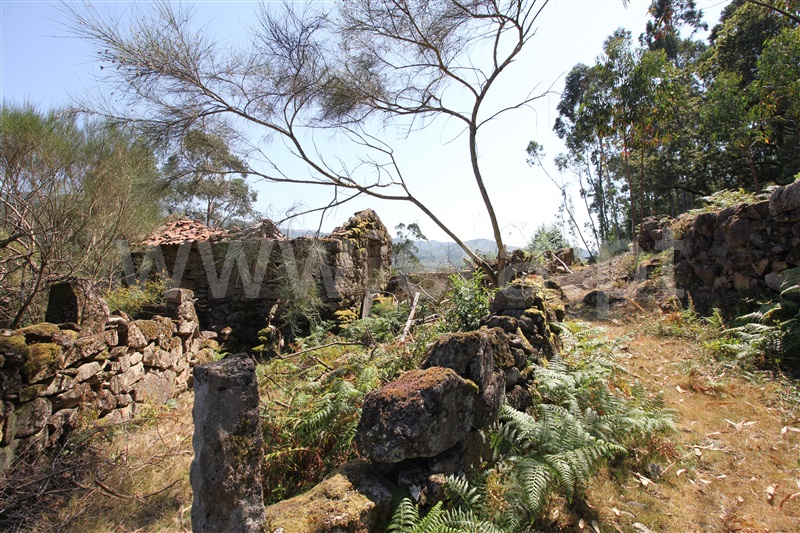 Terreno para Construção  Arcos de Valdevez, Soajo - 1417378 - 16
