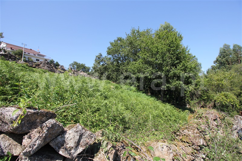 Terreno para Construção  Arcos de Valdevez, Soajo - 1417378 - 19