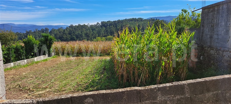 Terreno para Construção  Arouca, Chave - 1354850 - 2