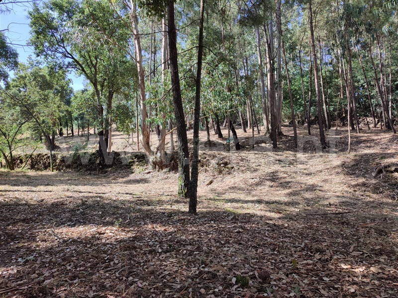 Terreno para Construção  Arouca, Mansores - 1489413 - 2