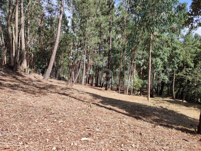 Terreno para Construção  Arouca, Mansores - 1489413 - 3
