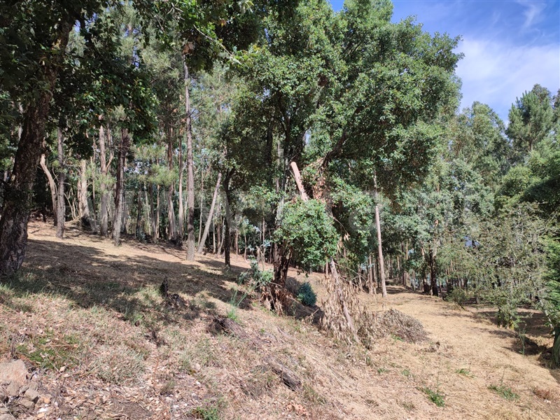 Terreno para Construção  Arouca, Mansores - 1489413 - 4