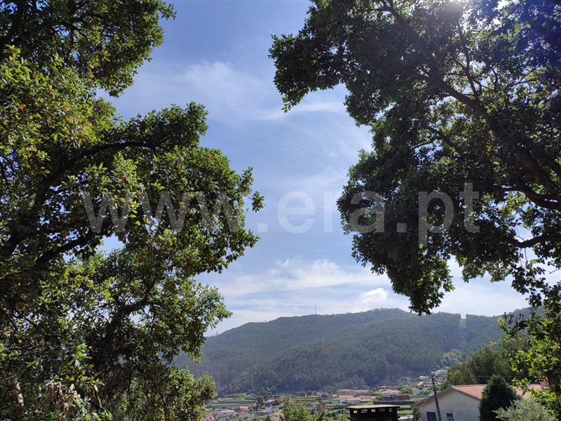 Terreno para Construção  Arouca, Mansores - 1489413 - 5