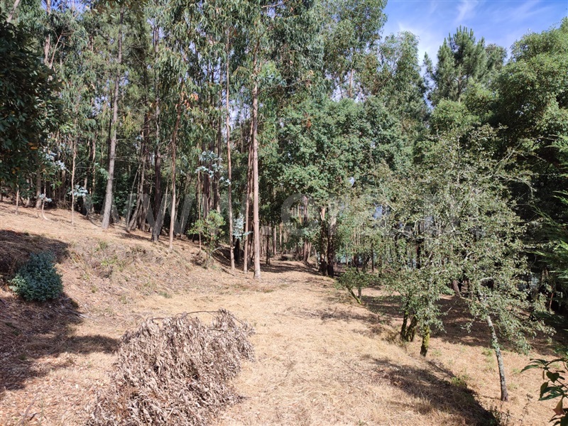 Terreno para Construção  Arouca, Mansores - 1489413 - 6