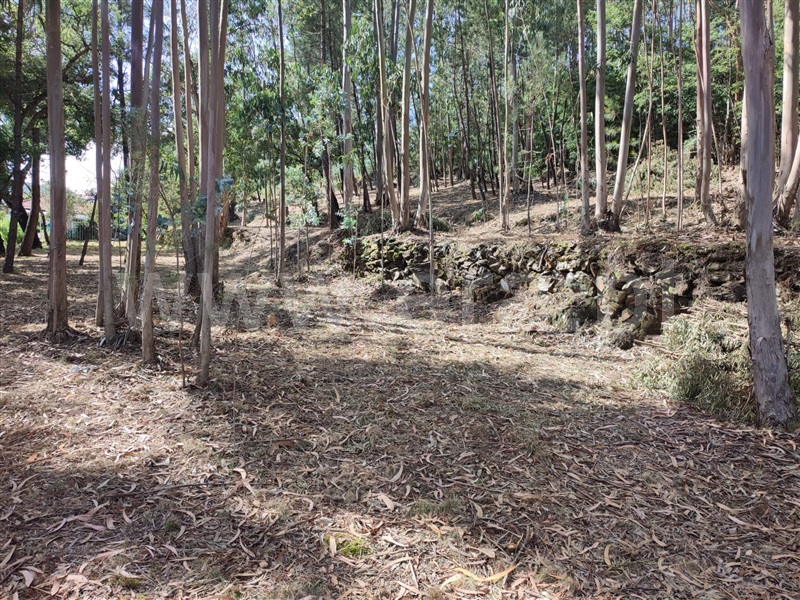 Terreno para Construção  Arouca, Mansores - 1489413 - 7