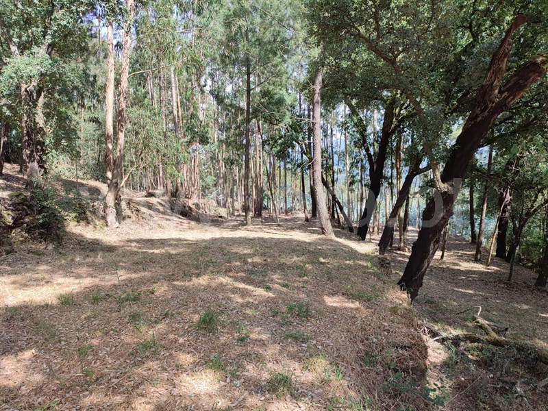 Terreno para Construção / Arouca, Mansores