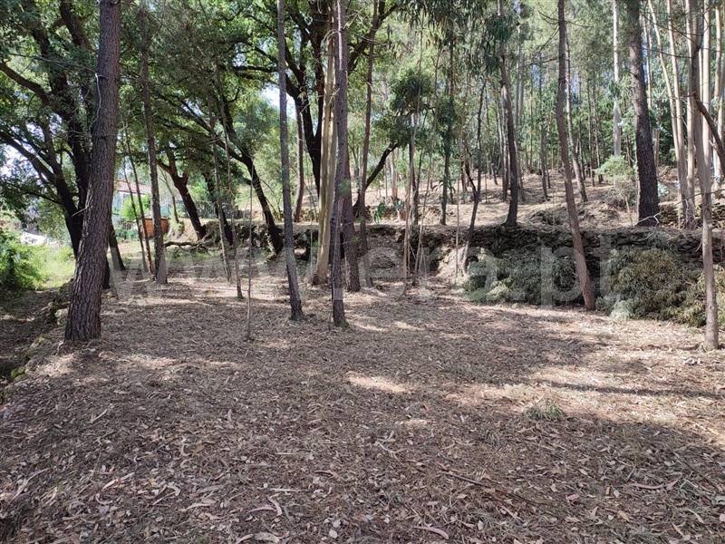 Terreno para Construção  Arouca, Mansores - 1489413 - 9