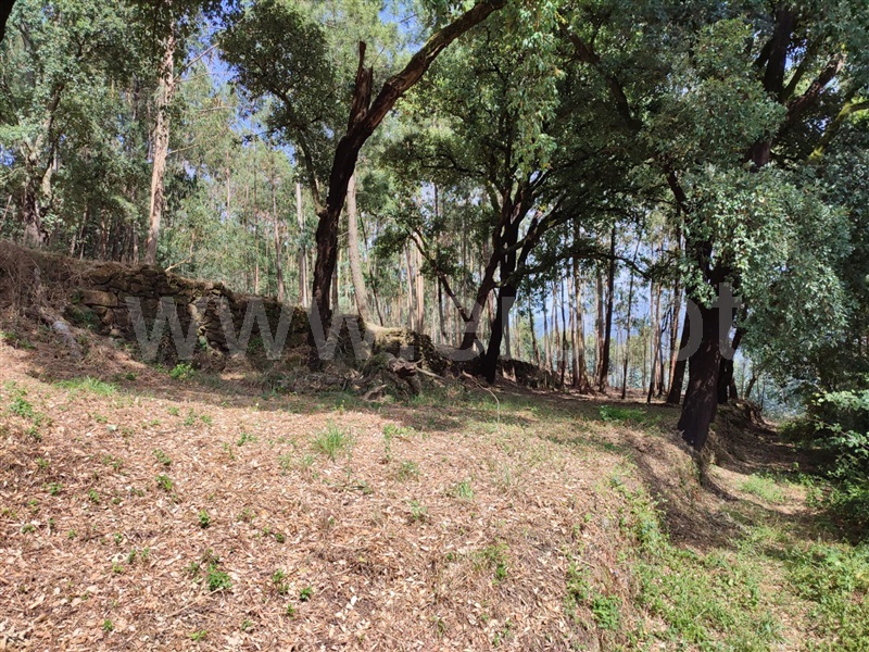 Terreno para Construção  Arouca, Mansores - 1489413 - 10