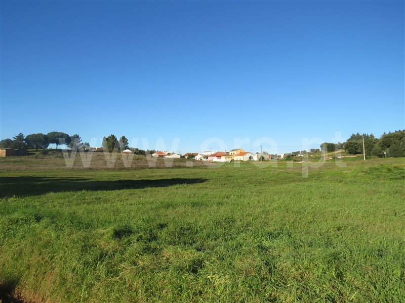 Terreno para Construção  Azambuja, Manique do Intendente, Vila Nova de São Pedro e Maçussa - 1451994 - 2