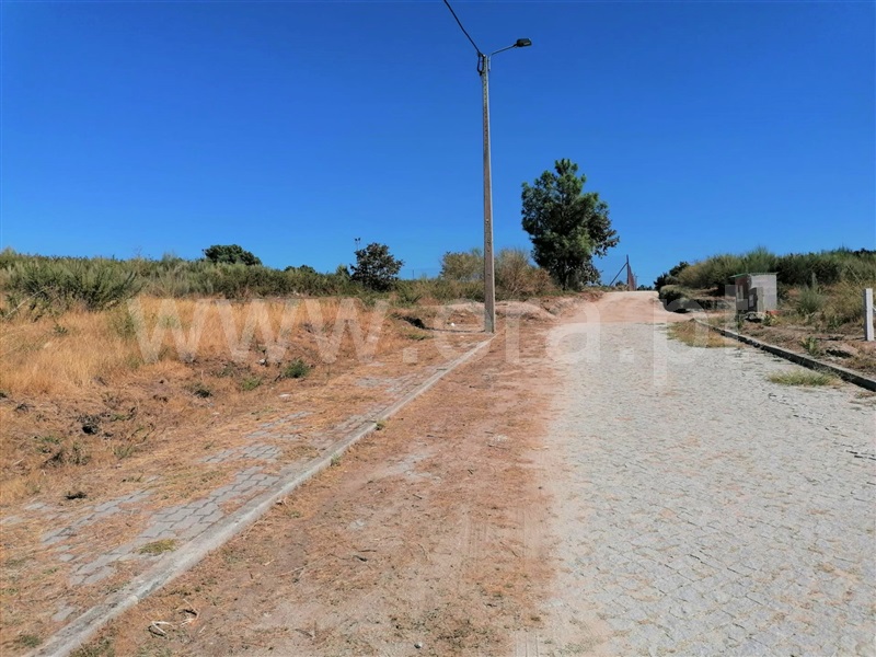 Terreno para Construção / Baião, Grilo