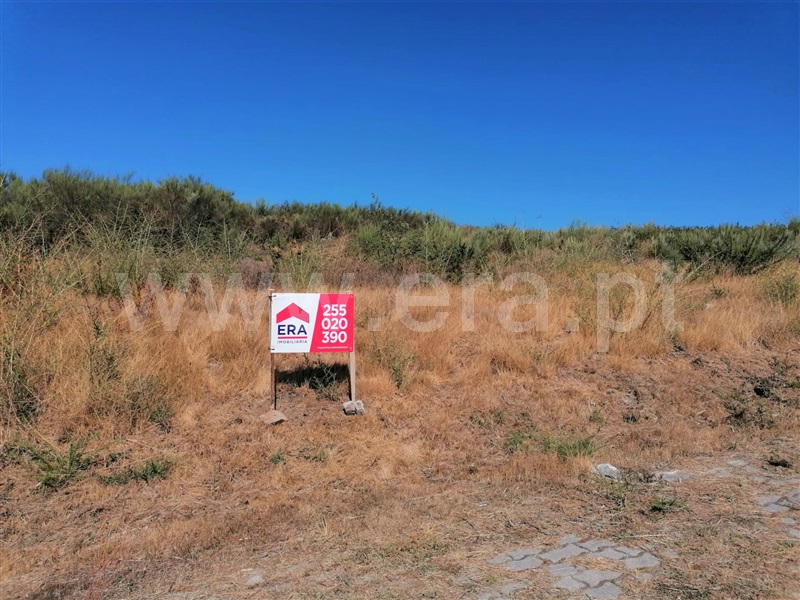 Terreno para Construção  Baião, Grilo - 1271578 - 3