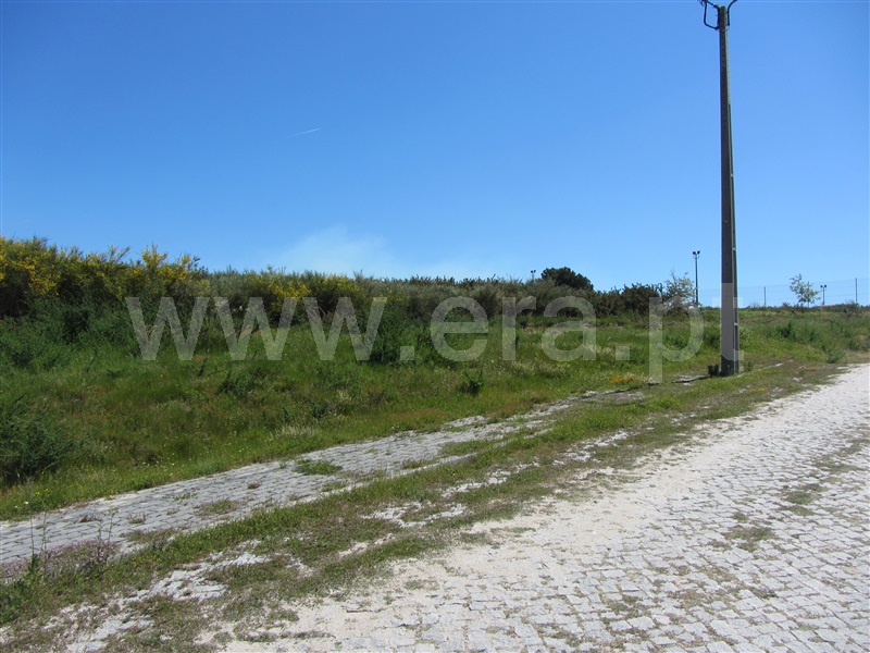 Terreno para Construção  Baião, Grilo - 864604 - 3