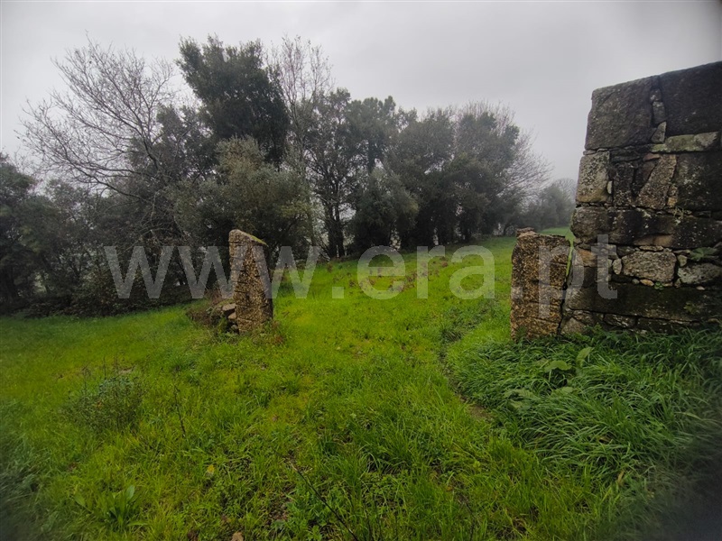 Terreno para Construção / Barcelos, Adães