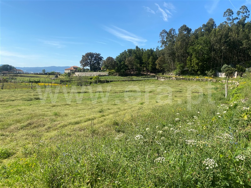 Terreno para Construção  Barcelos, Airó - 1322661 - 8