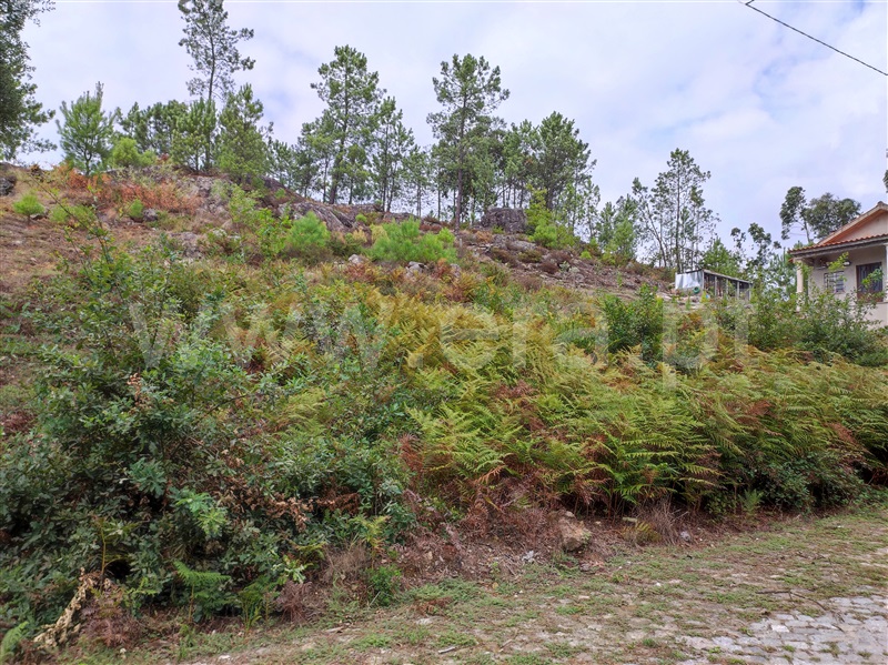 Terreno para Construção / Barcelos, Aldreu