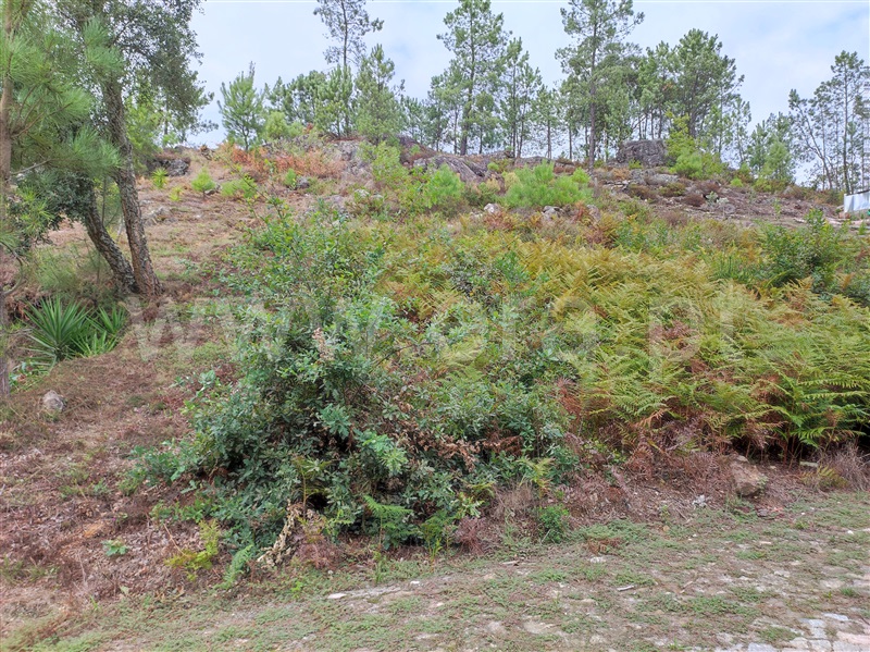 Terreno para Construção  Barcelos, Aldreu - 1275277 - 4