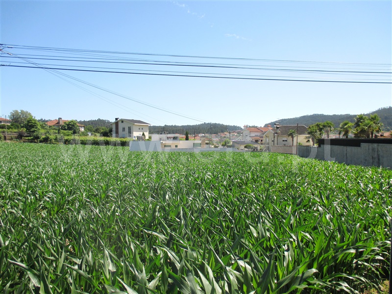 Terreno para Construção  Barcelos, Alvelos - 1099405 - 4