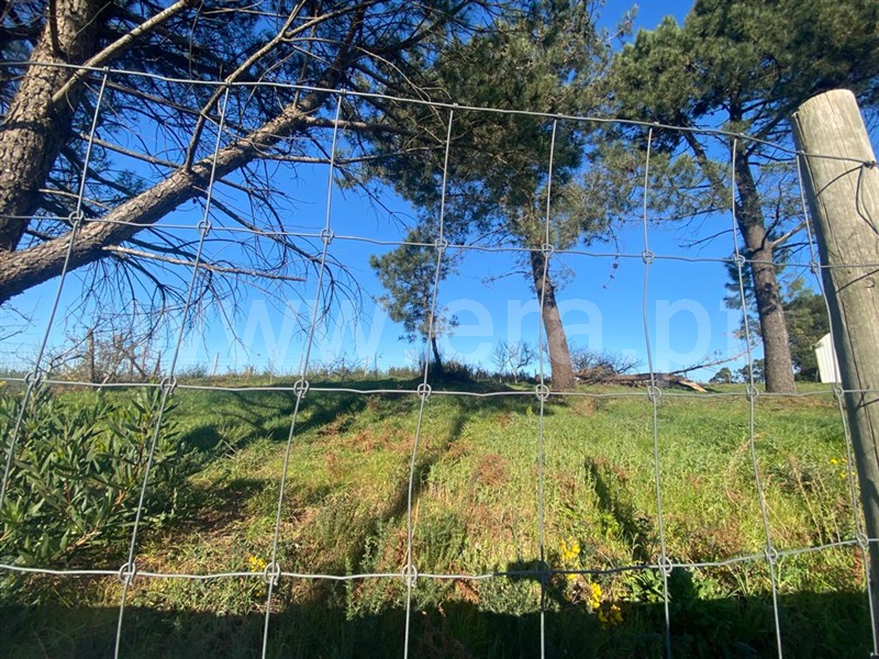 Terreno para Construção  Barcelos, Alvelos - 1309375 - 4