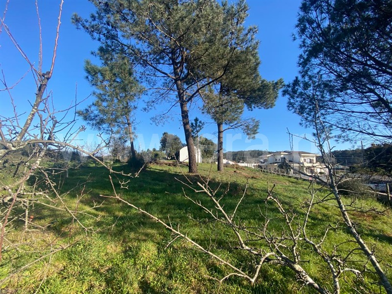 Terreno para Construção  Barcelos, Alvelos - 1309375 - 9