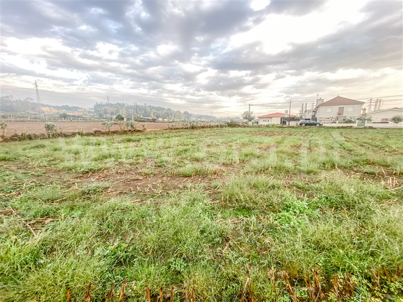 Terreno para Construção / Barcelos, Alvelos