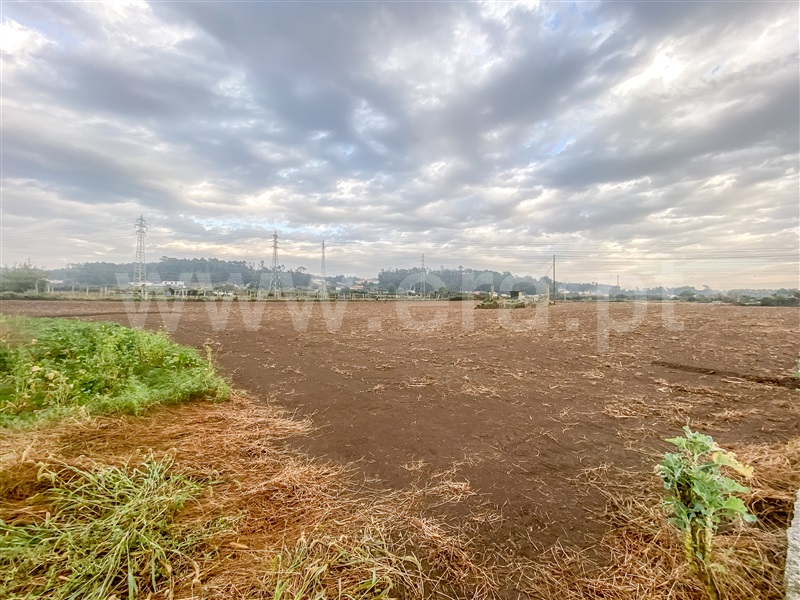 Terreno para Construção  Barcelos, Alvelos - 1360017 - 9