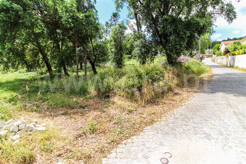 Terreno para Construção  Barcelos, Alvito (São Pedro e São Martinho) e Couto - 1323115 - 3