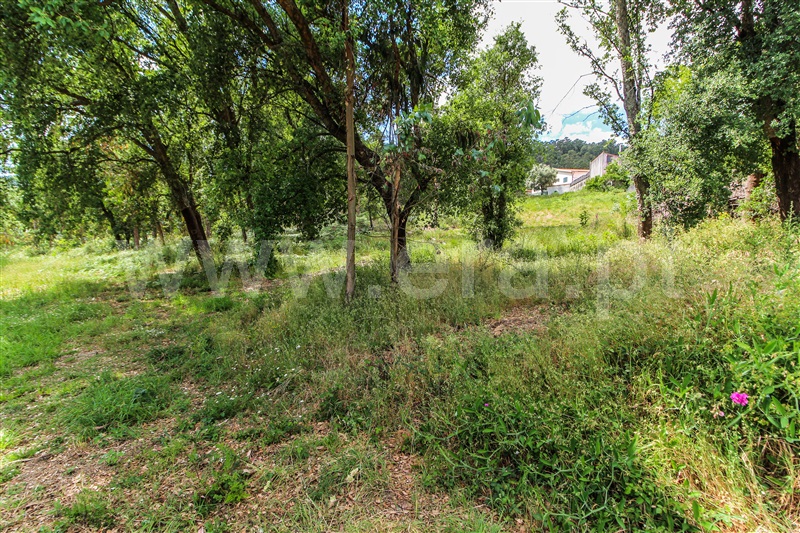 Terreno para Construção  Barcelos, Alvito (São Pedro e São Martinho) e Couto - 1323115 - 4