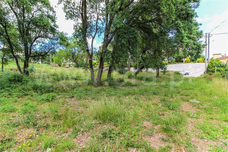 Terreno para Construção  Barcelos, Alvito (São Pedro e São Martinho) e Couto - 1323115 - 5