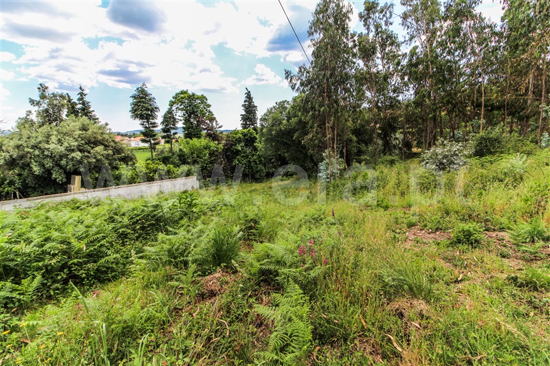 Terreno para Construção  Barcelos, Alvito (São Pedro e São Martinho) e Couto - 1323115 - 6