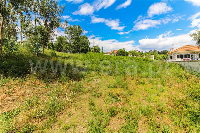 Terreno para Construção / Barcelos, Alvito (São Pedro e São Martinho) e Couto