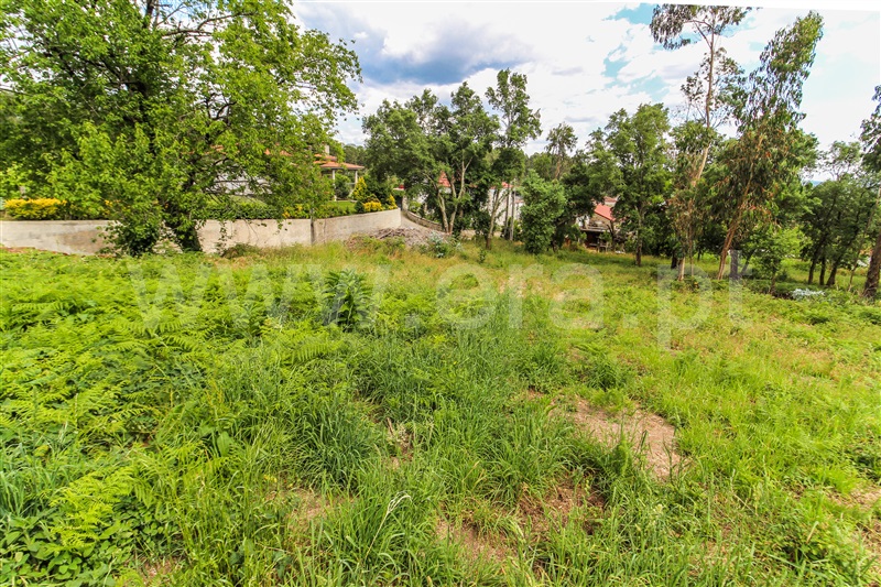 Terreno para Construção  Barcelos, Alvito (São Pedro e São Martinho) e Couto - 1323115 - 9
