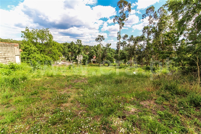 Terreno para Construção  Barcelos, Alvito (São Pedro e São Martinho) e Couto - 1323115 - 10