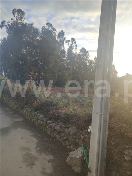 Terreno para Construção  Barcelos, Alvito (São Pedro e São Martinho) e Couto - 1445524 - 4