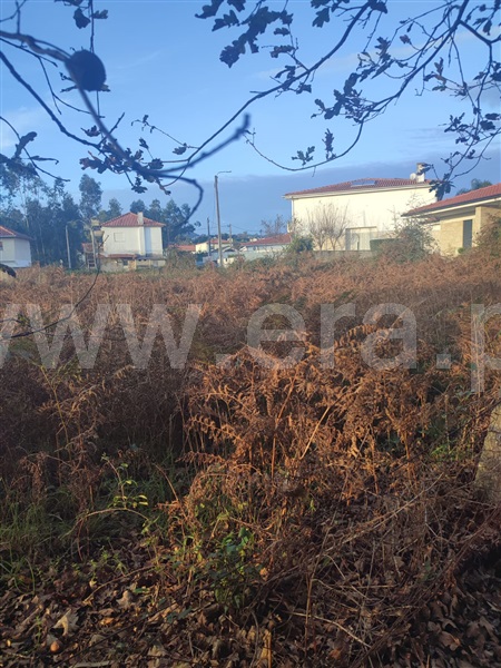 Terreno para Construção  Barcelos, Alvito (São Pedro e São Martinho) e Couto - 1445524 - 5