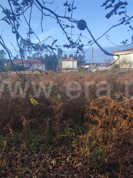 Terreno para Construção  Barcelos, Alvito (São Pedro e São Martinho) e Couto - 1445524 - 6