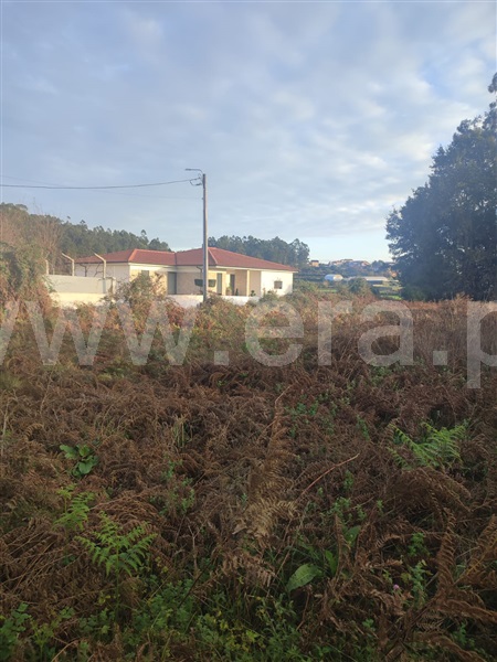 Terreno para Construção  Barcelos, Alvito (São Pedro e São Martinho) e Couto - 1445524 - 7